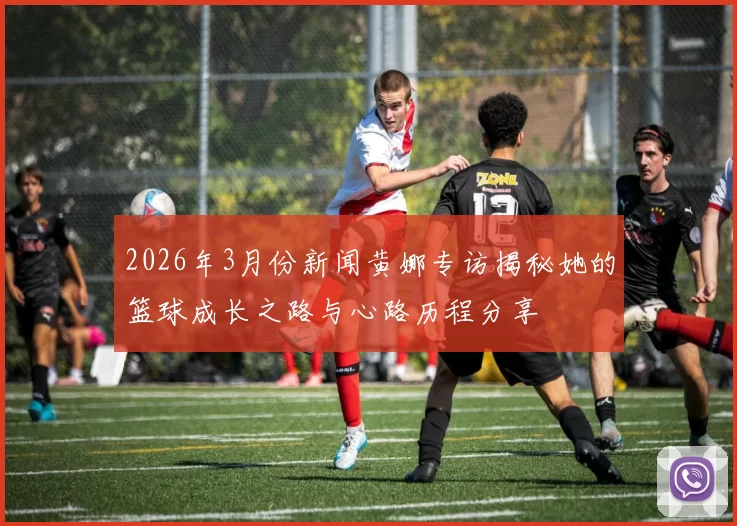 2026年3月份新闻黄娜专访揭秘她的篮球成长之路与心路历程分享
